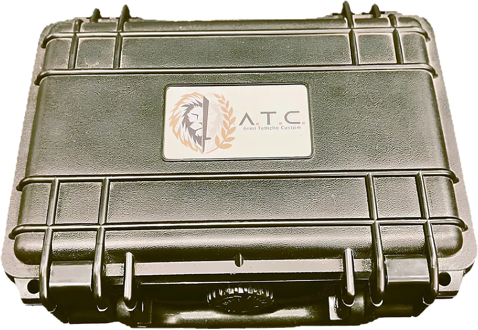 Ammo Case