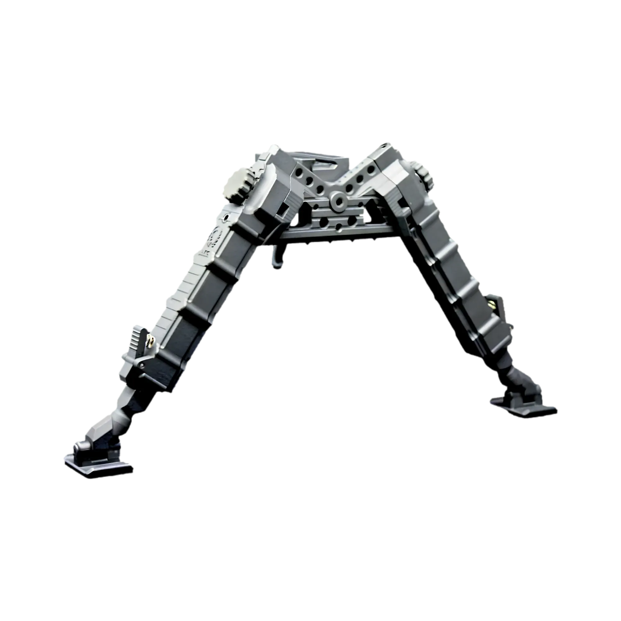 RAPTOR
